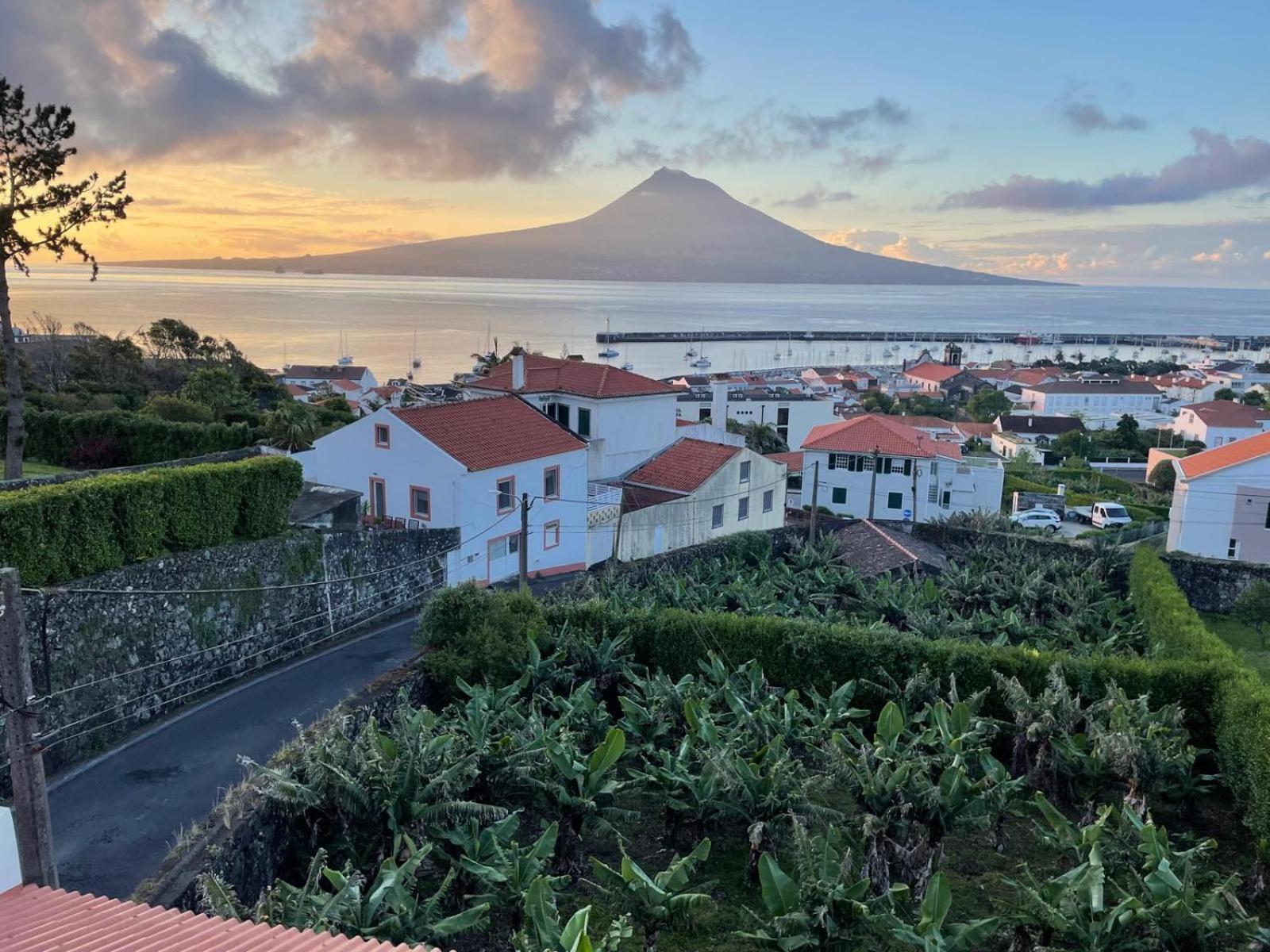 Quinta Peixinho Rc Dt Horta (Azores) Exterior foto